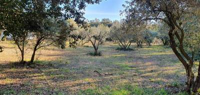 Terrain et maison à Uzès en Gard (30) de 99 m² à vendre au prix de 331500€ - 4