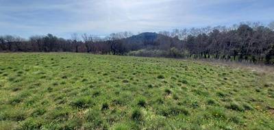 Terrain à Fox-Amphoux en Var (83) de 4800 m² à vendre au prix de 140000€ - 4