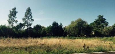 Terrain et maison à Claret en Hérault (34) de 100 m² à vendre au prix de 369850€ - 4