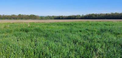 Terrain et maison à Bindernheim en Bas-Rhin (67) de 94 m² à vendre au prix de 330400€ - 4