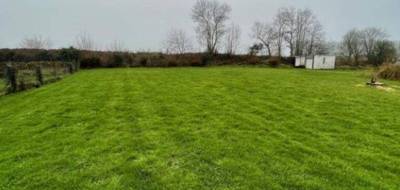 Terrain et maison à Tourville-les-Ifs en Seine-Maritime (76) de 105 m² à vendre au prix de 265659€ - 3