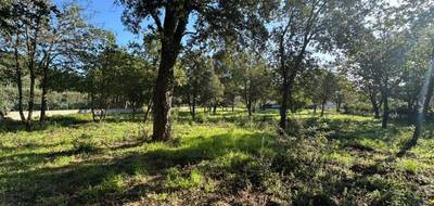 Terrain à Roquebrune-sur-Argens en Var (83) de 1000 m² à vendre au prix de 407000€ - 2