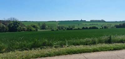 Terrain à Pournoy-la-Grasse en Moselle (57) de 600 m² à vendre au prix de 152500€ - 3