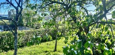 Terrain et maison à Montigny-aux-Amognes en Nièvre (58) de 73 m² à vendre au prix de 151900€ - 4
