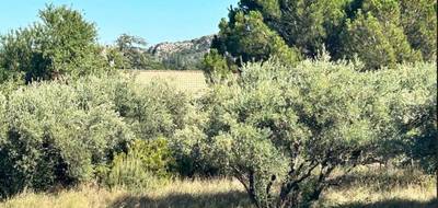 Terrain à Roquemaure en Gard (30) de 400 m² à vendre au prix de 129000€ - 1