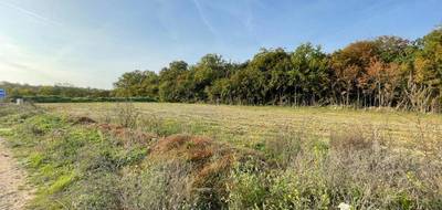 Terrain et maison à Compiègne en Oise (60) de 90 m² à vendre au prix de 404000€ - 3