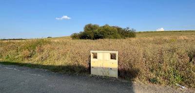Terrain et maison à Beyren-lès-Sierck en Moselle (57) de 101 m² à vendre au prix de 292000€ - 3