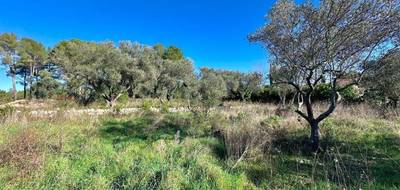 Terrain à Bagnols-en-Forêt en Var (83) de 1381 m² à vendre au prix de 170000€ - 2