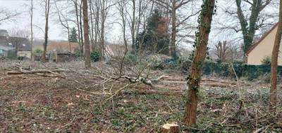 Terrain et maison à Larchant en Seine-et-Marne (77) de 104 m² à vendre au prix de 341900€ - 4