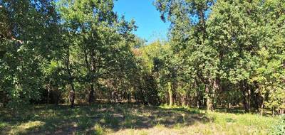 Terrain à Mondonville en Haute-Garonne (31) de 452 m² à vendre au prix de 129000€ - 1