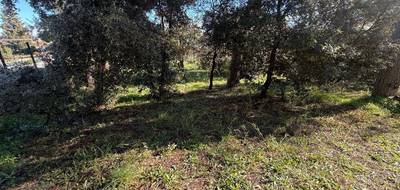 Terrain à Puget-sur-Argens en Var (83) de 800 m² à vendre au prix de 249000€ - 1