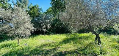 Terrain à Draguignan en Var (83) de 2050 m² à vendre au prix de 160000€ - 2