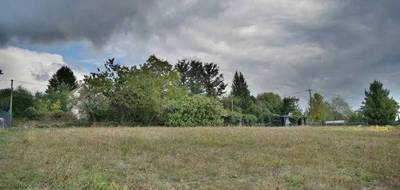 Terrain à Donzenac en Corrèze (19) de 1200 m² à vendre au prix de 44000€ - 2