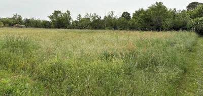 Terrain à Viviers-lès-Montagnes en Tarn (81) de 1898 m² à vendre au prix de 79000€ - 1