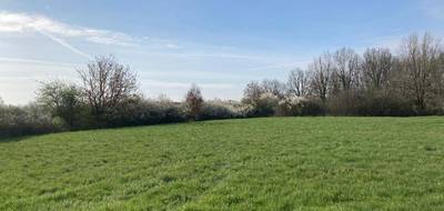 Terrain à Buzet-sur-Tarn en Haute-Garonne (31) de 358 m² à vendre au prix de 78000€ - 2