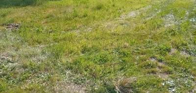 Terrain à Biscarrosse en Landes (40) de 912 m² à vendre au prix de 170000€ - 2