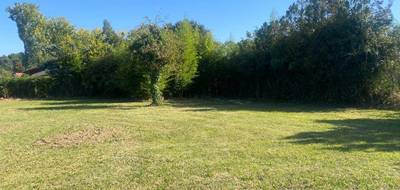 Terrain à Lesparre-Médoc en Gironde (33) de 1283 m² à vendre au prix de 85000€ - 2