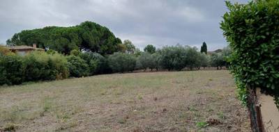 Terrain et maison à Loupian en Hérault (34) de 110 m² à vendre au prix de 485000€ - 4