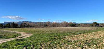 Terrain et maison à Gignac en Hérault (34) de 130 m² à vendre au prix de 399500€ - 4