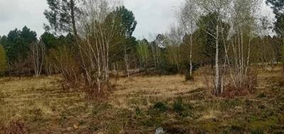 Terrain à Gujan-Mestras en Gironde (33) de 500 m² à vendre au prix de 285000€ - 1