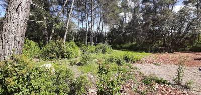 Terrain à Trans-en-Provence en Var (83) de 916 m² à vendre au prix de 193000€ - 1