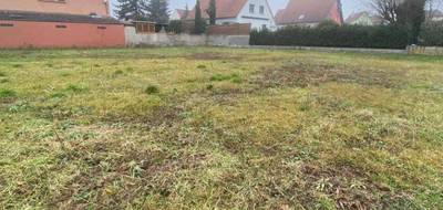 Terrain et maison à Illhaeusern en Haut-Rhin (68) de 94 m² à vendre au prix de 391600€ - 4