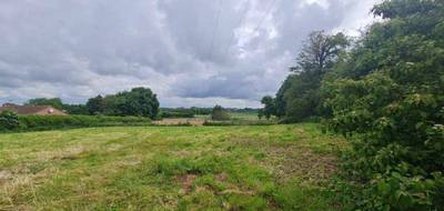 Terrain à Servins en Pas-de-Calais (62) de 1308 m² à vendre au prix de 69000€ - 3