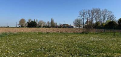 Terrain et maison à Vitry-en-Artois en Pas-de-Calais (62) de 89 m² à vendre au prix de 240900€ - 3