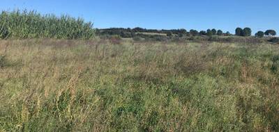 Terrain et maison à Villeneuve-lès-Maguelone en Hérault (34) de 140 m² à vendre au prix de 795600€ - 3
