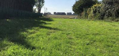 Terrain et maison à Annet-sur-Marne en Seine-et-Marne (77) de 117 m² à vendre au prix de 469000€ - 3