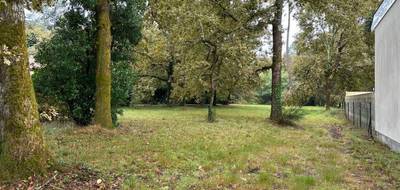 Terrain et maison à Andernos-les-Bains en Gironde (33) de 98 m² à vendre au prix de 498000€ - 3