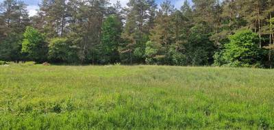 Terrain à Quenoche en Haute-Saône (70) de 957 m² à vendre au prix de 32500€ - 2