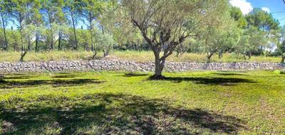 Terrain et maison à Bagnols-en-Forêt en Var (83) de 100 m² à vendre au prix de 438000€ - 4