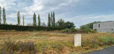 Terrain à Mérignies en Nord (59) de 486 m² à vendre au prix de 165000€ - 1