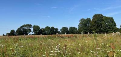 Terrain à Vismes en Somme (80) de 1000 m² à vendre au prix de 26000€ - 2