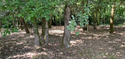 Terrain à Cognac en Charente (16) de 2000 m² à vendre au prix de 130435€ - 3