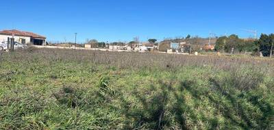 Terrain et maison à Baziège en Haute-Garonne (31) de 112 m² à vendre au prix de 325519€ - 4