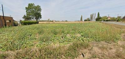 Terrain et maison à Illies en Nord (59) de 189 m² à vendre au prix de 452000€ - 4