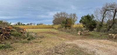 Terrain et maison à Saint-Martin-de-Crau en Bouches-du-Rhône (13) de 112 m² à vendre au prix de 386800€ - 4
