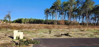 Terrain à Pissos en Landes (40) de 555 m² à vendre au prix de 67000€ - 1