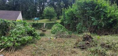 Terrain et maison à Souppes-sur-Loing en Seine-et-Marne (77) de 104 m² à vendre au prix de 332900€ - 4