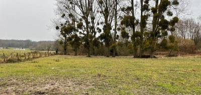 Terrain et maison à Ribécourt-Dreslincourt en Oise (60) de 90 m² à vendre au prix de 251000€ - 3
