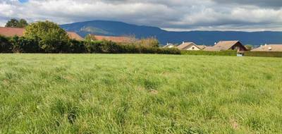Terrain et maison à Valleiry en Haute-Savoie (74) de 120 m² à vendre au prix de 654759€ - 4
