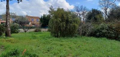 Terrain à Pignans en Var (83) de 550 m² à vendre au prix de 154000€ - 3