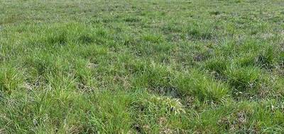 Terrain et maison à Louzac-Saint-André en Charente (16) de 79 m² à vendre au prix de 194453€ - 4