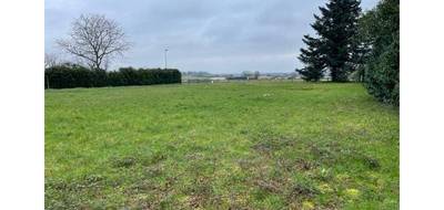 Terrain et maison à Nogent-l'Abbesse en Marne (51) de 136 m² à vendre au prix de 310890€ - 3