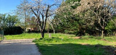 Terrain à Soyaux en Charente (16) de 469 m² à vendre au prix de 57500€ - 1
