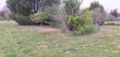 Terrain et maison à Plaisance-du-Touch en Haute-Garonne (31) de 110 m² à vendre au prix de 383455€ - 4