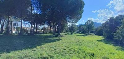 Terrain à Le Muy en Var (83) de 1018 m² à vendre au prix de 245000€ - 3
