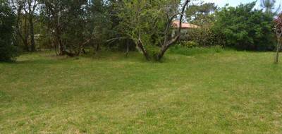 Terrain à La Teste-de-Buch en Gironde (33) de 1000 m² à vendre au prix de 317000€ - 2